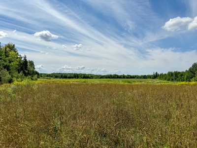 324± Acres of Maine Land - image 14