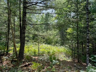 324± Acres of Maine Land - image 20