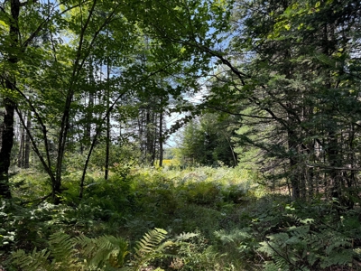 324± Acres of Maine Land - image 21