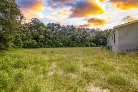 Home And Land For Sale In Lafayette County!!! - image 2