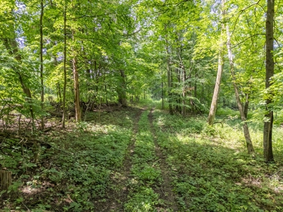 36 +/- acre dream hunting property and home Baraboo, WI - image 50
