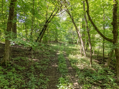 36 +/- acre dream hunting property and home Baraboo, WI - image 49