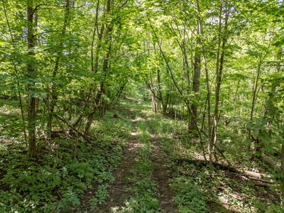 36 +/- acre dream hunting property and home Baraboo, WI - image 48