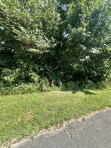 Vacant Land .58 acre Barren River Lake area - image 3
