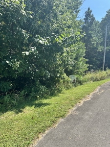 Vacant Land .58 acre Barren River Lake area - image 1