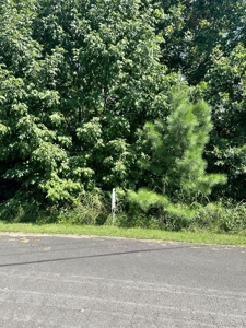 Vacant Land .58 acre Barren River Lake area - image 2