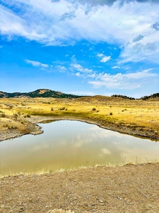 Cow Island Trail Ranch: A Rare Opportunity In The Bear Paws - image 12