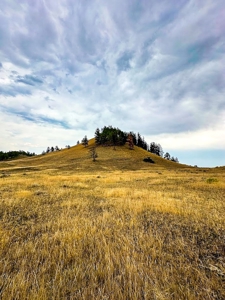 Cow Island Trail Ranch: A Rare Opportunity In The Bear Paws - image 24