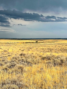 Cow Island Trail Ranch: A Rare Opportunity In The Bear Paws - image 27