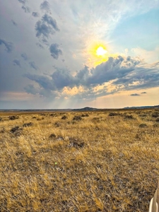 Cow Island Trail Ranch: A Rare Opportunity In The Bear Paws - image 45