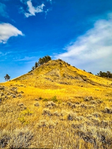 Cow Island Trail Ranch: A Rare Opportunity In The Bear Paws - image 38