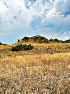 Cow Island Trail Ranch: A Rare Opportunity In The Bear Paws - image 22