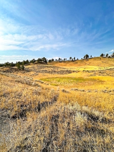Cow Island Trail Ranch: A Rare Opportunity In The Bear Paws - image 37