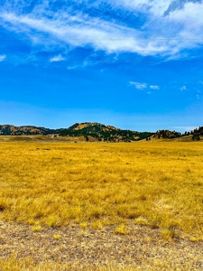 Cow Island Trail Ranch: A Rare Opportunity In The Bear Paws - image 13