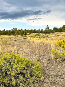 Cow Island Trail Ranch: A Rare Opportunity In The Bear Paws - image 26