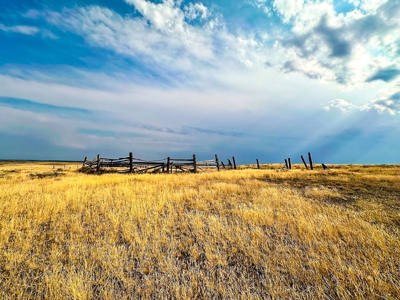 Cow Island Trail Ranch: A Rare Opportunity In The Bear Paws - image 31