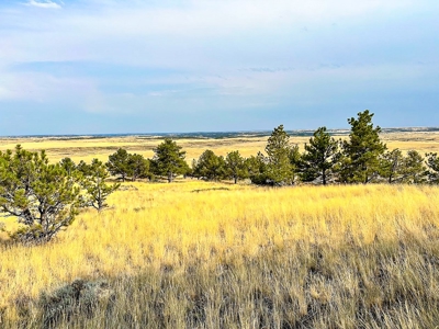 Cow Island Trail Ranch: A Rare Opportunity In The Bear Paws - image 33