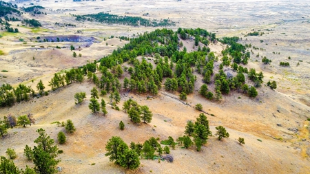 Cow Island Trail Ranch: A Rare Opportunity In The Bear Paws - image 5