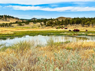 Cow Island Trail Ranch: A Rare Opportunity In The Bear Paws - image 18