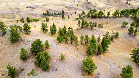 Cow Island Trail Ranch: A Rare Opportunity In The Bear Paws - image 4