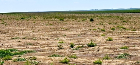 Cheyenne County Kansas Farmland For Sale - image 9