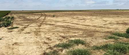 Cheyenne County Kansas Farmland For Sale - image 5