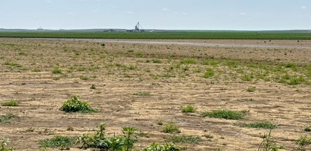 Cheyenne County Kansas Farmland For Sale - image 8