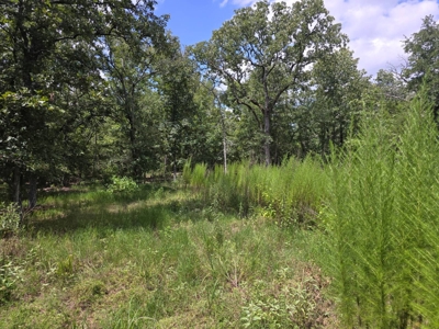 7.50 ± Acres for Sale in Rattan, Oklahoma - image 5
