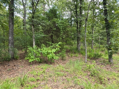 7.50 ± Acres for Sale in Rattan, Oklahoma - image 3