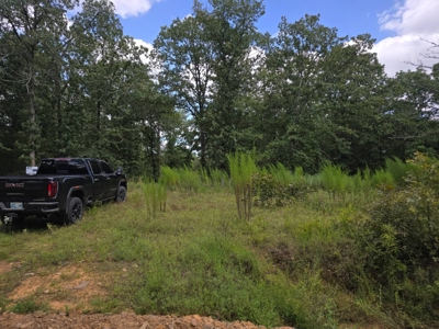 7.50 ± Acres for Sale in Rattan, Oklahoma - image 1