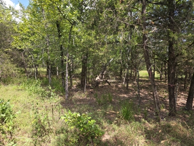 7.50 ± Acres for Sale in Rattan, Oklahoma - image 6