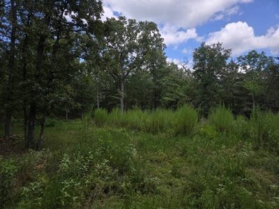 7.50 ± Acres for Sale in Rattan, Oklahoma - image 4