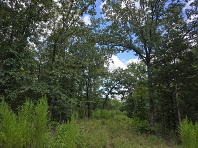 7.50 ± Acres for Sale in Rattan, Oklahoma - image 10