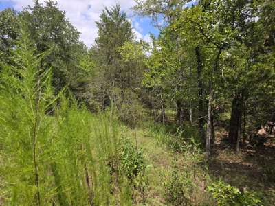 7.50 ± Acres for Sale in Rattan, Oklahoma - image 7