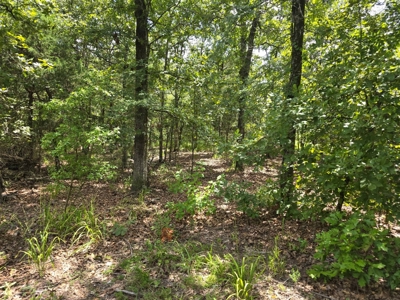 7.50 ± Acres for Sale in Rattan, Oklahoma - image 8