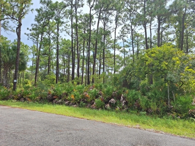 Easy Coastal Living In Crystal River, Florida!!! - image 4