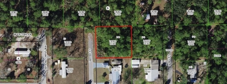 Easy Coastal Living In Crystal River, Florida!!! - image 7