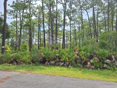 Easy Coastal Living In Crystal River, Florida!!! - image 5