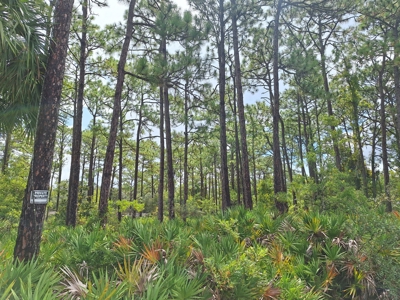 Easy Coastal Living In Crystal River, Florida!!! - image 1