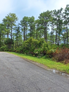 Easy Coastal Living In Crystal River, Florida!!! - image 3