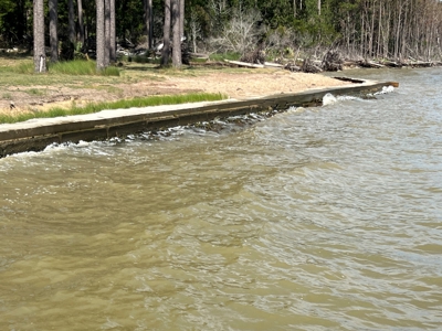 Waterfront Residential Property - image 6