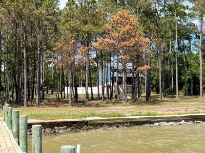 Waterfront Residential Property - image 3