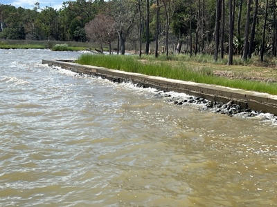 Waterfront Residential Property - image 7