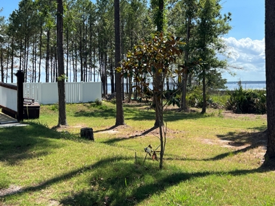 Waterfront Residential Property - image 13