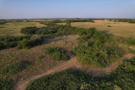 Prime Hunting Property Childress TX - 160 Acres - image 8