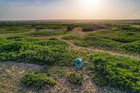Prime Hunting Property Childress TX - 160 Acres - image 34