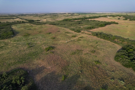 Prime Hunting Property Childress TX - 160 Acres - image 13