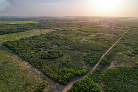 Prime Hunting Property Childress TX - 160 Acres - image 18