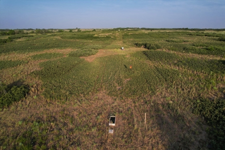 Prime Hunting Property Childress TX - 160 Acres - image 36