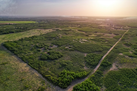 Prime Hunting Property Childress TX - 160 Acres - image 19